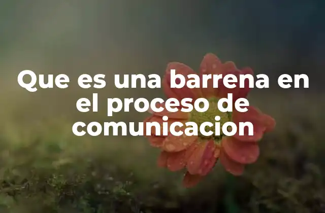 Que es una Barrena en el Proceso de Comunicacion