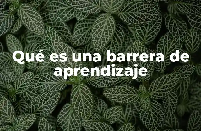 Qué es una Barrera de Aprendizaje