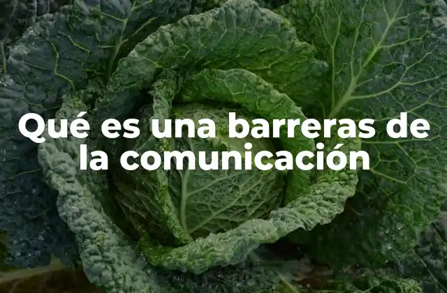 Qué es una Barreras de la Comunicación