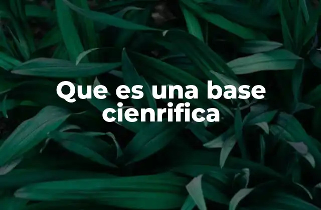 Que es una Base Cienrifica 2 El papel de la base científica en la toma de decisiones