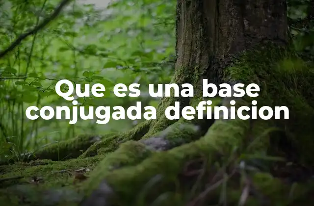 Que es una Base Conjugada Definicion