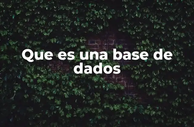 Que es una Base de Dados
