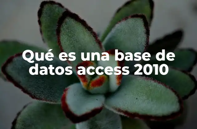 Qué es una Base de Datos Access 2010