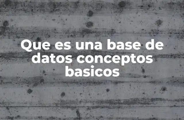 Que es una Base de Datos Conceptos Basicos
