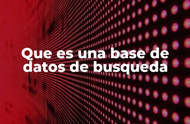 Que es una Base de Datos de Busqueda
