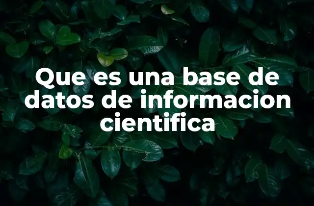 El papel de las bases de datos científicas en la investigación moderna