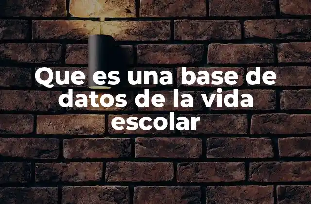 Que es una Base de Datos de la Vida Escolar