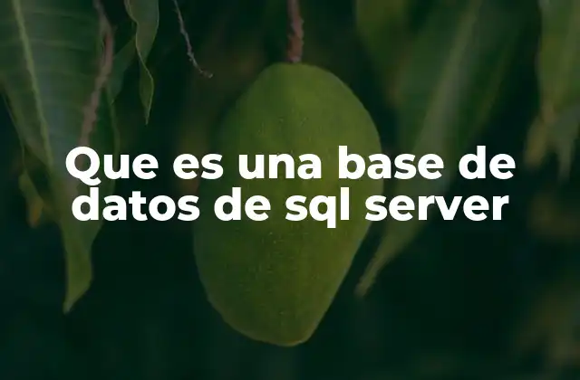 Que es una Base de Datos de Sql Server