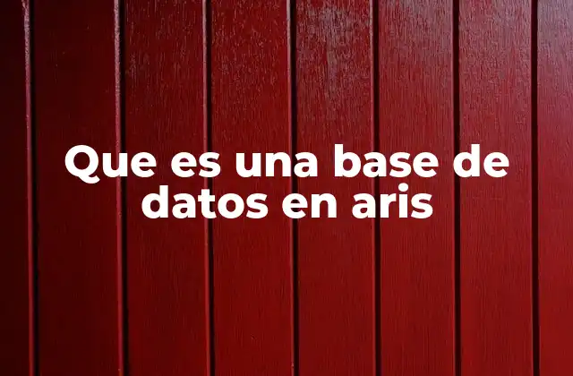 Que es una Base de Datos en Aris