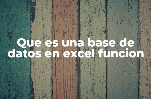 Que es una Base de Datos en Excel Funcion