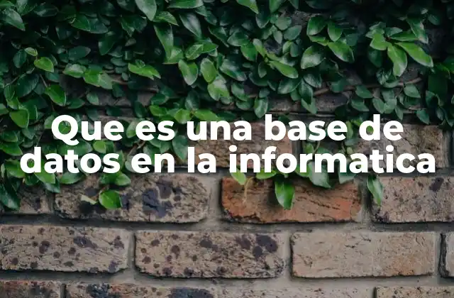 Cómo las bases de datos organizan la información