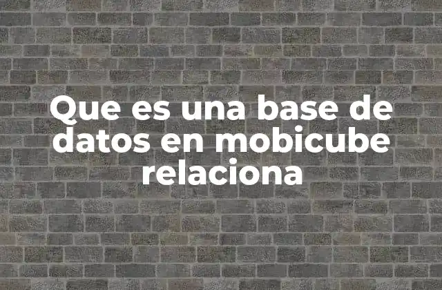 La importancia de la gestión estructurada de datos en Mobicube Relaciona