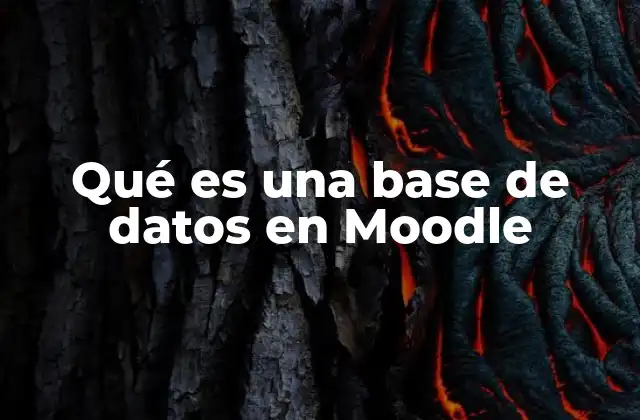 Qué es una Base de Datos en Moodle