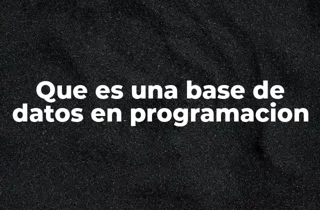 Que es una Base de Datos en Programacion