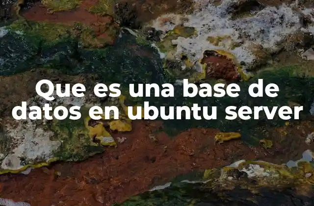 Que es una Base de Datos en Ubuntu Server