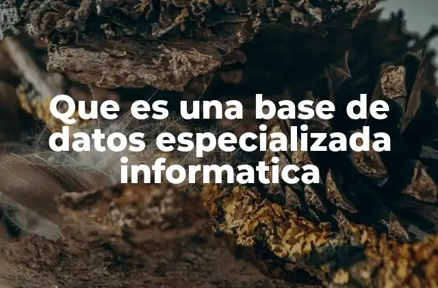 Que es una Base de Datos Especializada Informatica