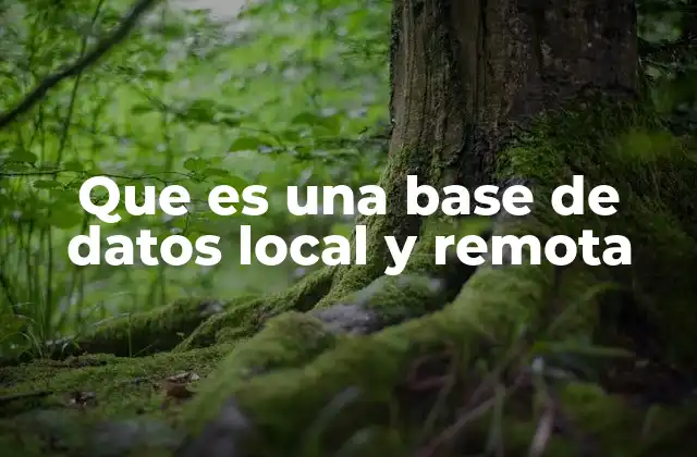 Que es una Base de Datos Local y Remota 2 Tipos de almacenamiento de información en sistemas informáticos