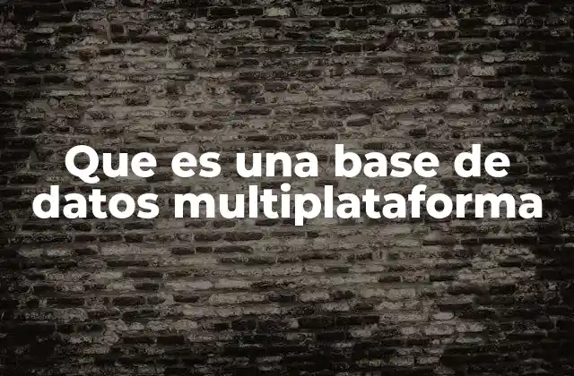 Que es una Base de Datos Multiplataforma