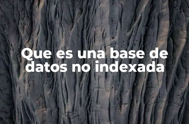Que es una Base de Datos No Indexada