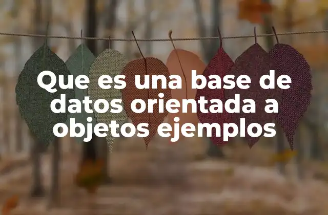 Que es una Base de Datos Orientada a Objetos Ejemplos
