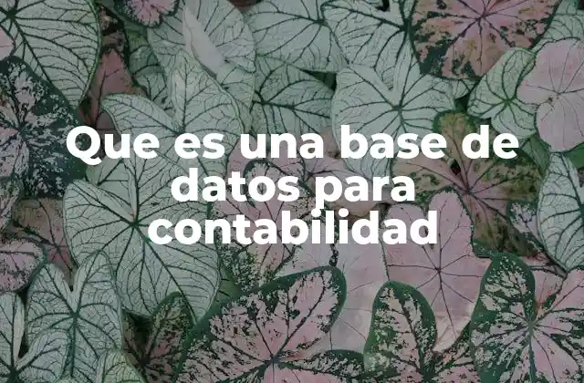 Que es una Base de Datos para Contabilidad