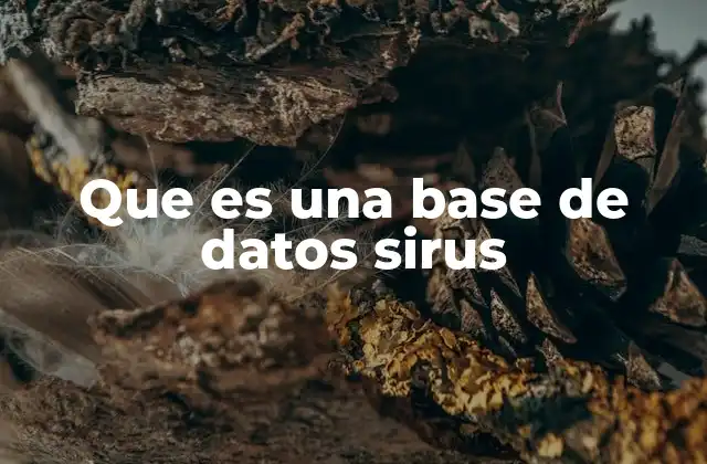 Que es una Base de Datos Sirus