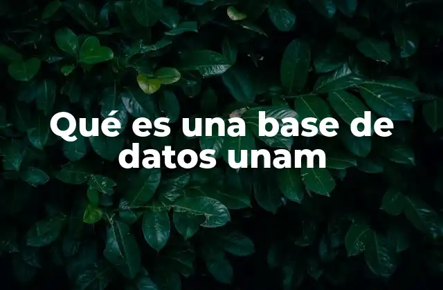 Qué es una Base de Datos Unam