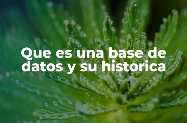 Que es una Base de Datos y Su Historica