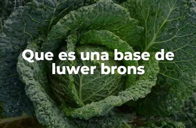 Que es una Base de Luwer Brons
