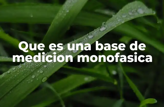 Que es una Base de Medicion Monofasica