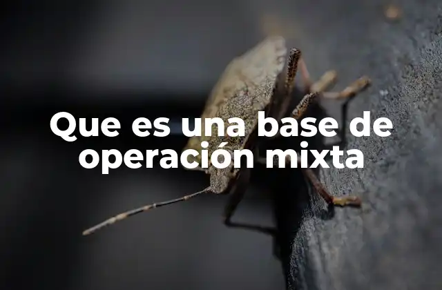 La importancia de la integración operativa en entornos mixtos