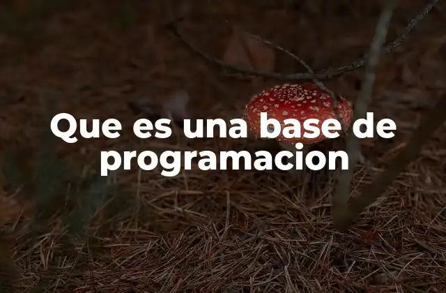 Que es una Base de Programacion