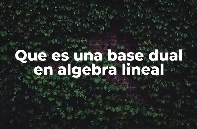 La relación entre espacios vectoriales y sus duales