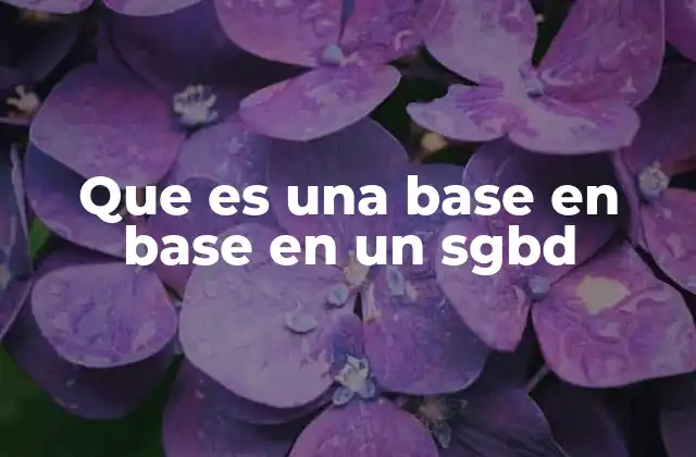 Que es una Base en Base en un Sgbd