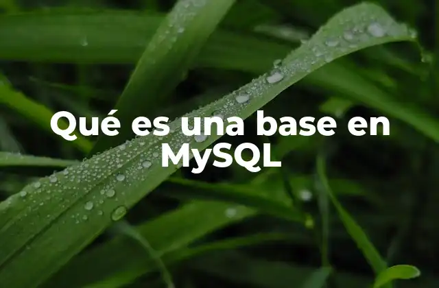 Qué es una Base en Mysql