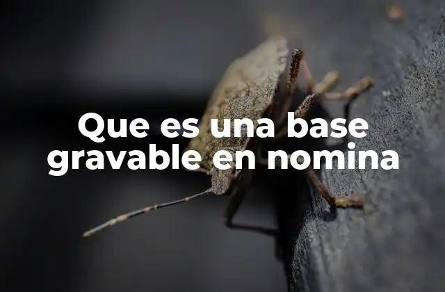 La importancia de calcular correctamente la base gravable