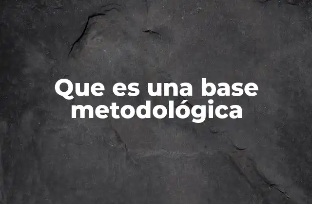 Que es una Base Metodológica