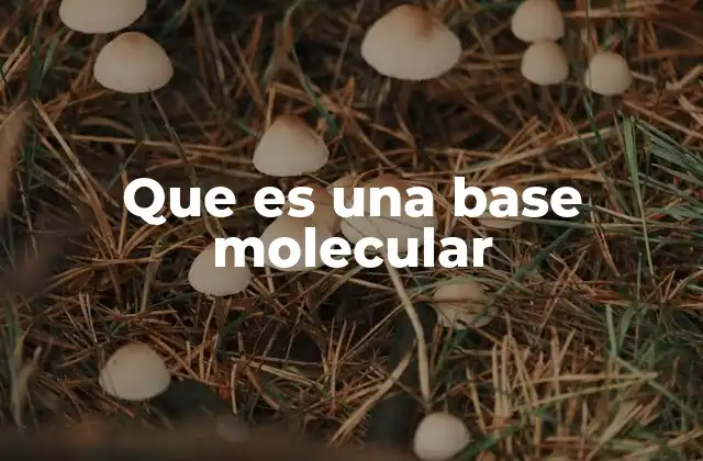 Que es una Base Molecular
