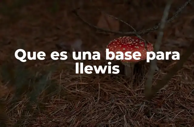 Que es una Base para Llewis