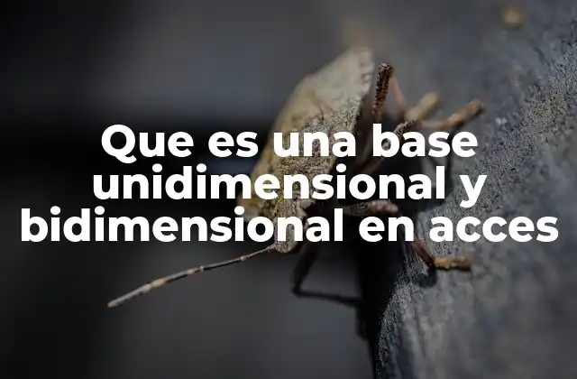 Que es una Base Unidimensional y Bidimensional en Acces