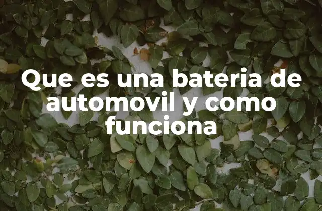 Que es una Bateria de Automovil y como Funciona