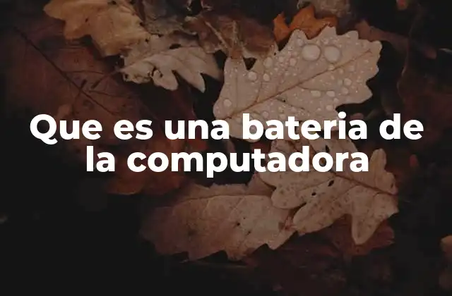 Que es una Bateria de la Computadora