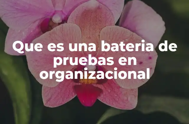 Que es una Bateria de Pruebas en Organizacional