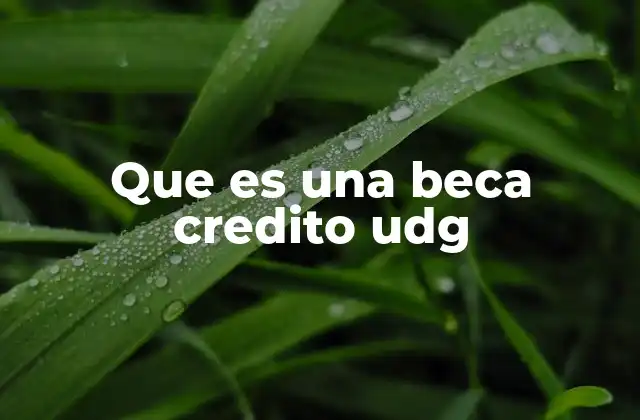 Que es una Beca Credito Udg