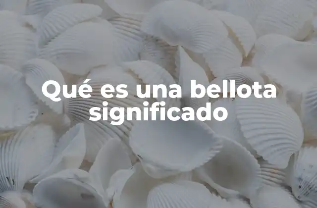 Qué es una Bellota Significado