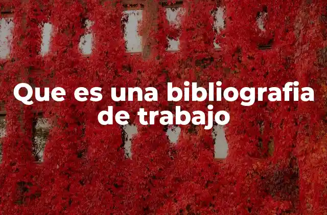 Que es una Bibliografia de Trabajo