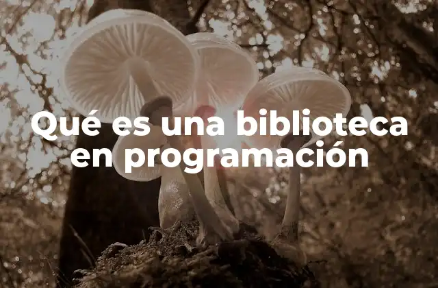 Qué es una Biblioteca en Programación