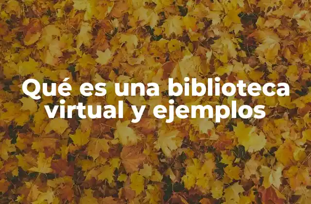 Qué es una Biblioteca Virtual y Ejemplos