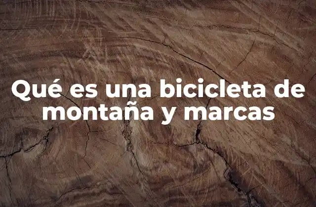 Qué es una Bicicleta de Montaña y Marcas