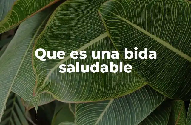 Que es una Bida Saludable